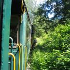 Train Excursion
 / 